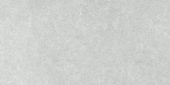 Denver 12X24F Platinum Matte | Glens Falls Tile & Supplies