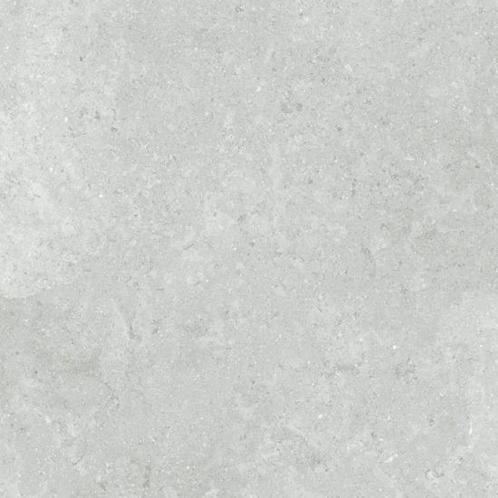 Denver 20X20F Platinum Matte | Glens Falls Tile & Supplies