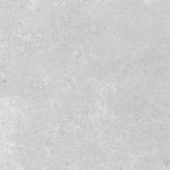 Denver 20X20F Platinum Matte | Glens Falls Tile & Supplies