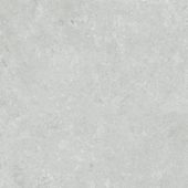 Denver 20X20F Platinum Matte | Glens Falls Tile & Supplies