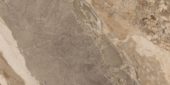 Dynasty Taupe 12X24 | Glens Falls Tile & Supplies