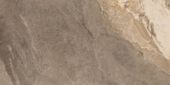 Dynasty Taupe 12X24 | Glens Falls Tile & Supplies