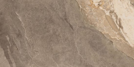 Dynasty Taupe 12X24 | Glens Falls Tile & Supplies
