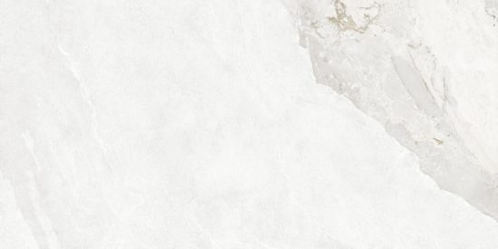 Dynasty White 12X24 | Glens Falls Tile & Supplies