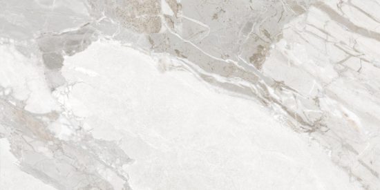 Dynasty White 12X24 | Glens Falls Tile & Supplies