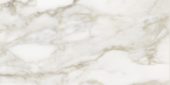 Florence 12X24F Calacatta Matte | Glens Falls Tile & Supplies