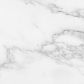 Florence 13X13F Bianco Matte | Glens Falls Tile & Supplies