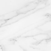 Florence 13X13F Bianco Matte | Glens Falls Tile & Supplies