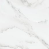Florence 13X13F Bianco Matte | Glens Falls Tile & Supplies