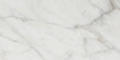 Golden Calacatta Matte 12X24 | Glens Falls Tile & Supplies