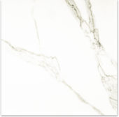 Matte Adoration 24X24 | Glens Falls Tile & Supplies