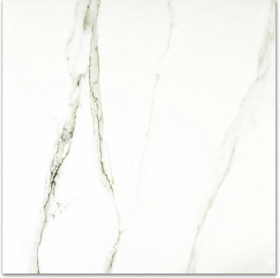 Matte Adoration 24X24 | Glens Falls Tile & Supplies