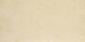 Matte Affection 16X32 | Glens Falls Tile & Supplies