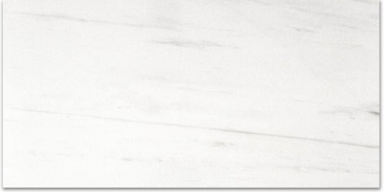 Matte Devotion 12X24 | Glens Falls Tile & Supplies