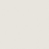 Matte London 24X24 | Glens Falls Tile & Supplies