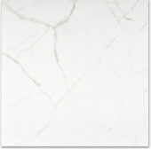 Matte Love 24X24 | Glens Falls Tile & Supplies