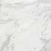 Milano Statuario Honed 32X32 | Glens Falls Tile & Supplies