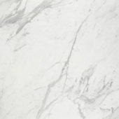 Milano Statuario Honed 32X32 | Glens Falls Tile & Supplies