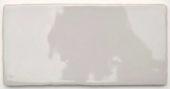 Moonlight 3X6W | Glens Falls Tile & Supplies