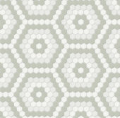 Morning Blend Matte Hexagon Pattern Mosaic | Glens Falls Tile & Supplies