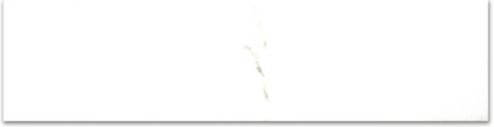 Polished 3X12 Adoration Bullnose | Glens Falls Tile & Supplies