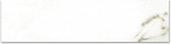 Polished 3X12 Adoration Bullnose | Glens Falls Tile & Supplies