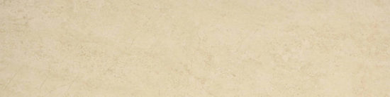 Polished 3X12 Affection Bullnose | Glens Falls Tile & Supplies