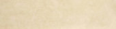 Polished 3X12 Affection Bullnose | Glens Falls Tile & Supplies