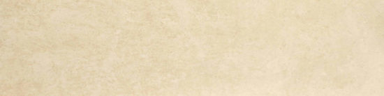 Polished 3X12 Affection Bullnose | Glens Falls Tile & Supplies