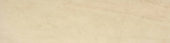Polished 3X12 Affection Bullnose | Glens Falls Tile & Supplies