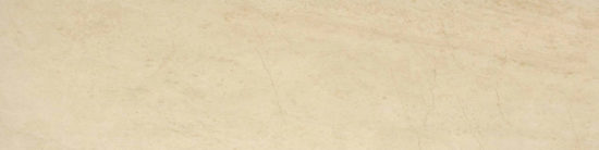 Polished 3X12 Affection Bullnose | Glens Falls Tile & Supplies
