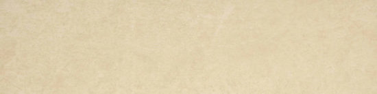 Polished 3X12 Affection Bullnose | Glens Falls Tile & Supplies