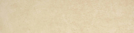 Polished 3X12 Affection Bullnose | Glens Falls Tile & Supplies