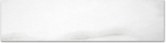Polished 3X12 Infatuation Bullnose | Glens Falls Tile & Supplies