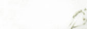 Polished Adoration 10.5X32 | Glens Falls Tile & Supplies