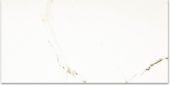 Polished Adoration 12X24 | Glens Falls Tile & Supplies