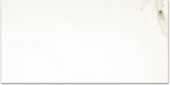 Polished Adoration 12X24 | Glens Falls Tile & Supplies