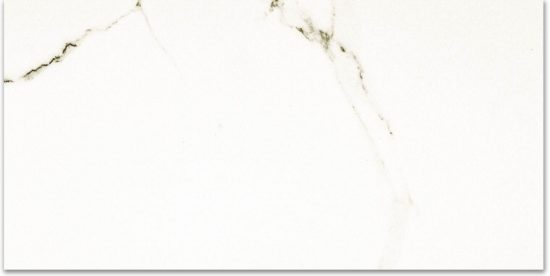 Polished Adoration 12X24 | Glens Falls Tile & Supplies