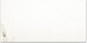 Polished Adoration 16X32 | Glens Falls Tile & Supplies