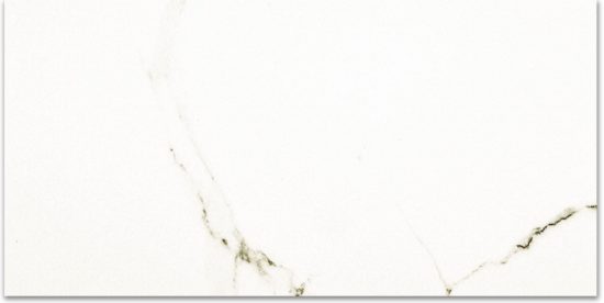 Polished Adoration 16X32 | Glens Falls Tile & Supplies