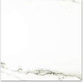 Polished Adoration 24X24 | Glens Falls Tile & Supplies