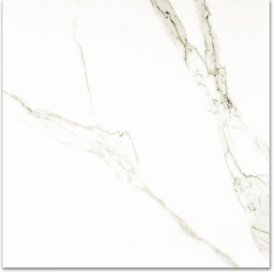 Polished Adoration 24X24 | Glens Falls Tile & Supplies