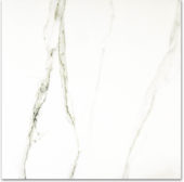 Polished Adoration 24X24 | Glens Falls Tile & Supplies