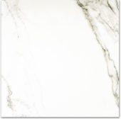 Polished Adoration 24X24 | Glens Falls Tile & Supplies