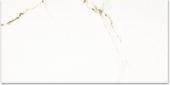 Polished Adoration 24X48 | Glens Falls Tile & Supplies