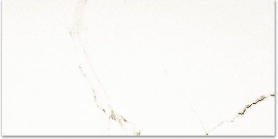 Polished Adoration 24X48 | Glens Falls Tile & Supplies