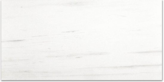 Polished Devotion 12X24 | Glens Falls Tile & Supplies