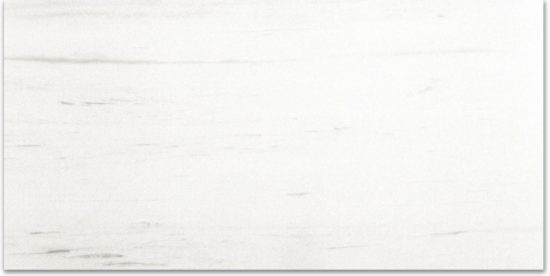 Polished Devotion 12X24 | Glens Falls Tile & Supplies
