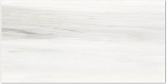 Polished Devotion 16X32 | Glens Falls Tile & Supplies