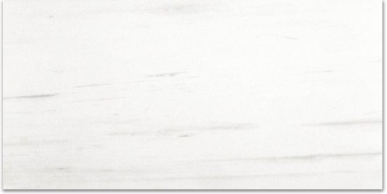 Polished Devotion 24X48 | Glens Falls Tile & Supplies